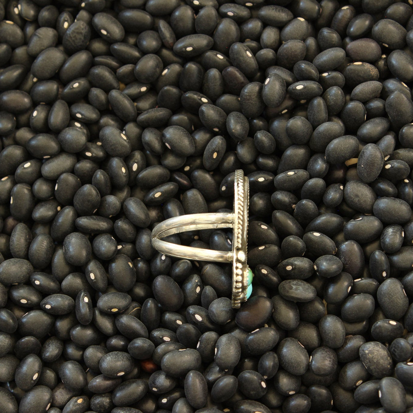 Sonoran Turquoise & Buffalo Nickel Ring