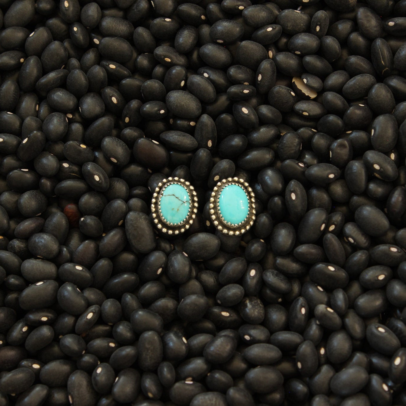 Sonoran Turquoise Studs