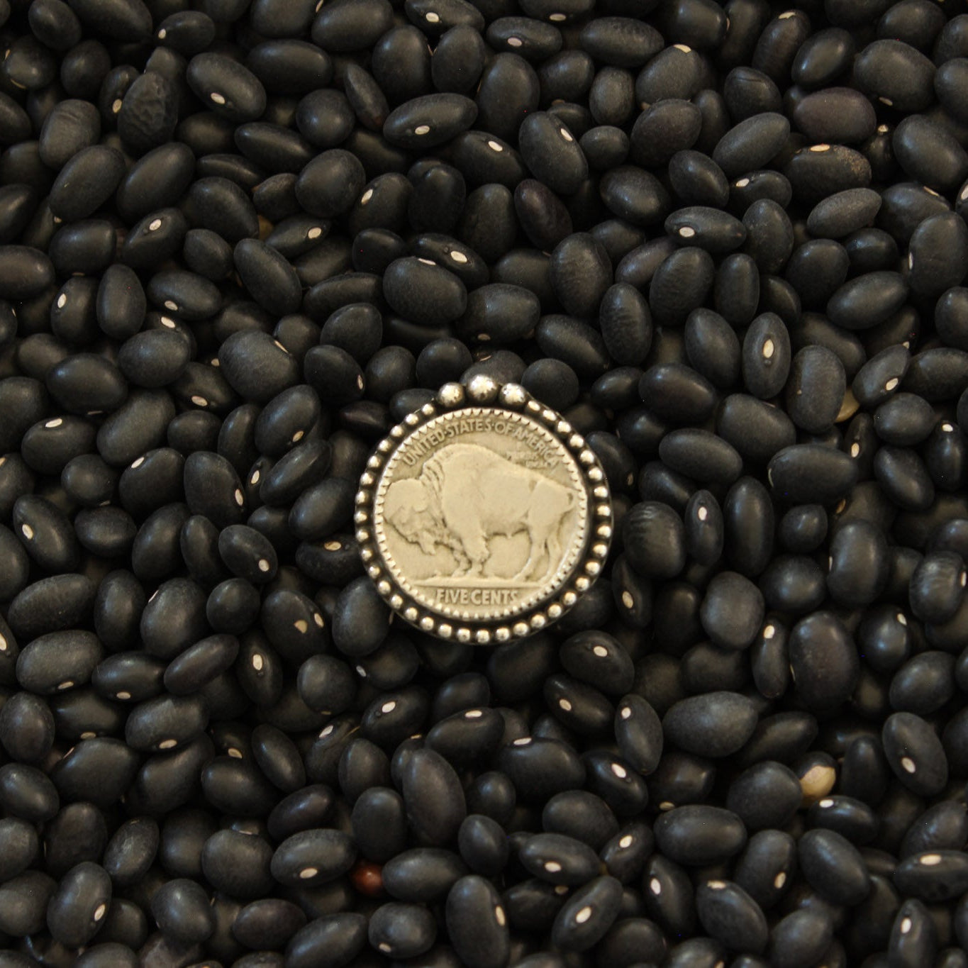 Buffalo Nickel Ring