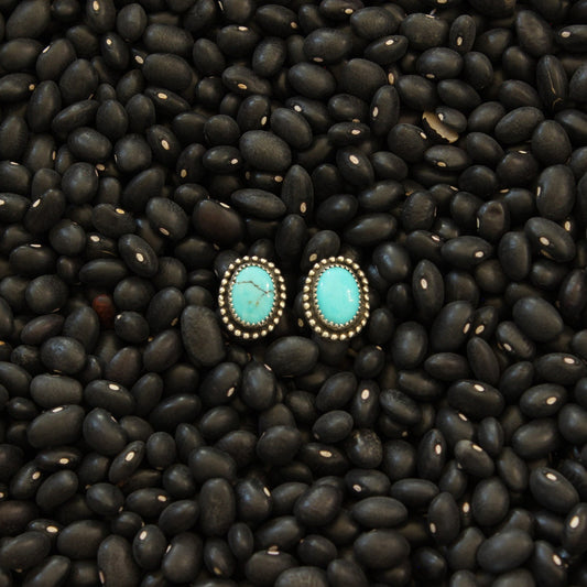 Sonoran Turquoise Studs