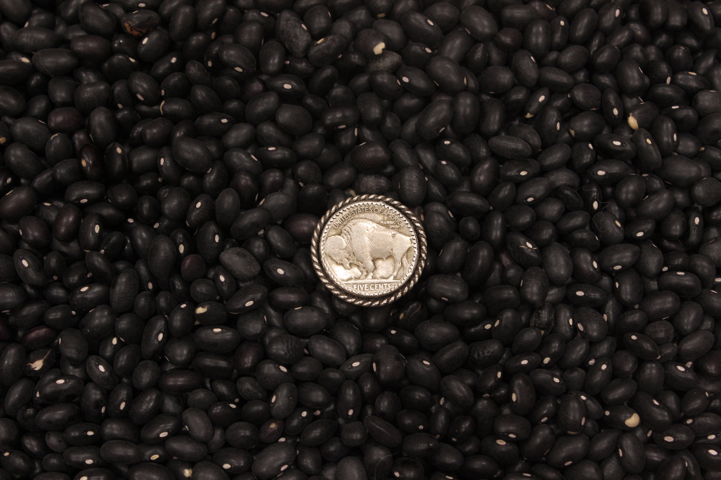 Buffalo Nickel Ring